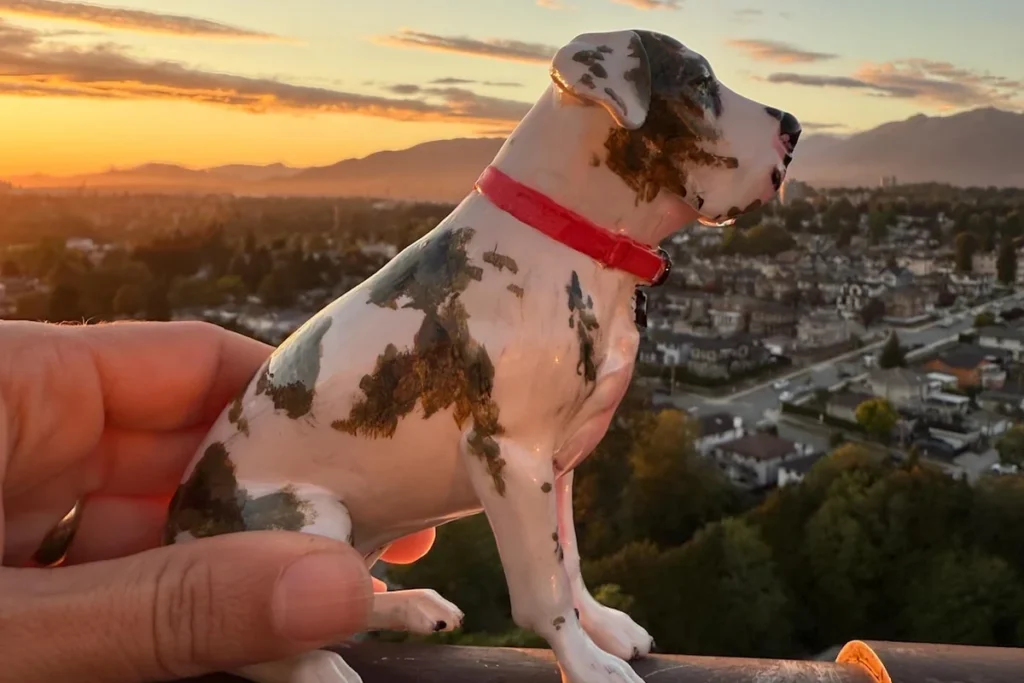3d printed pet portraits - easy animal 3d prints